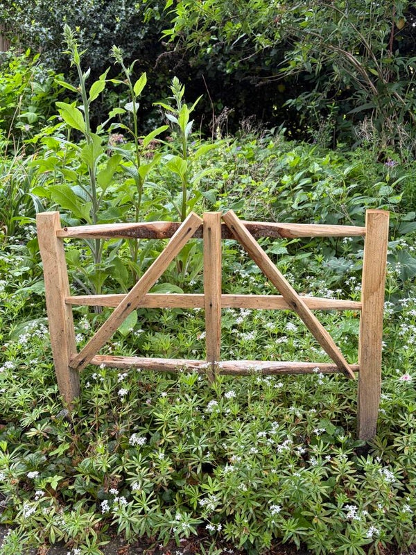 Hurdle 1 foot