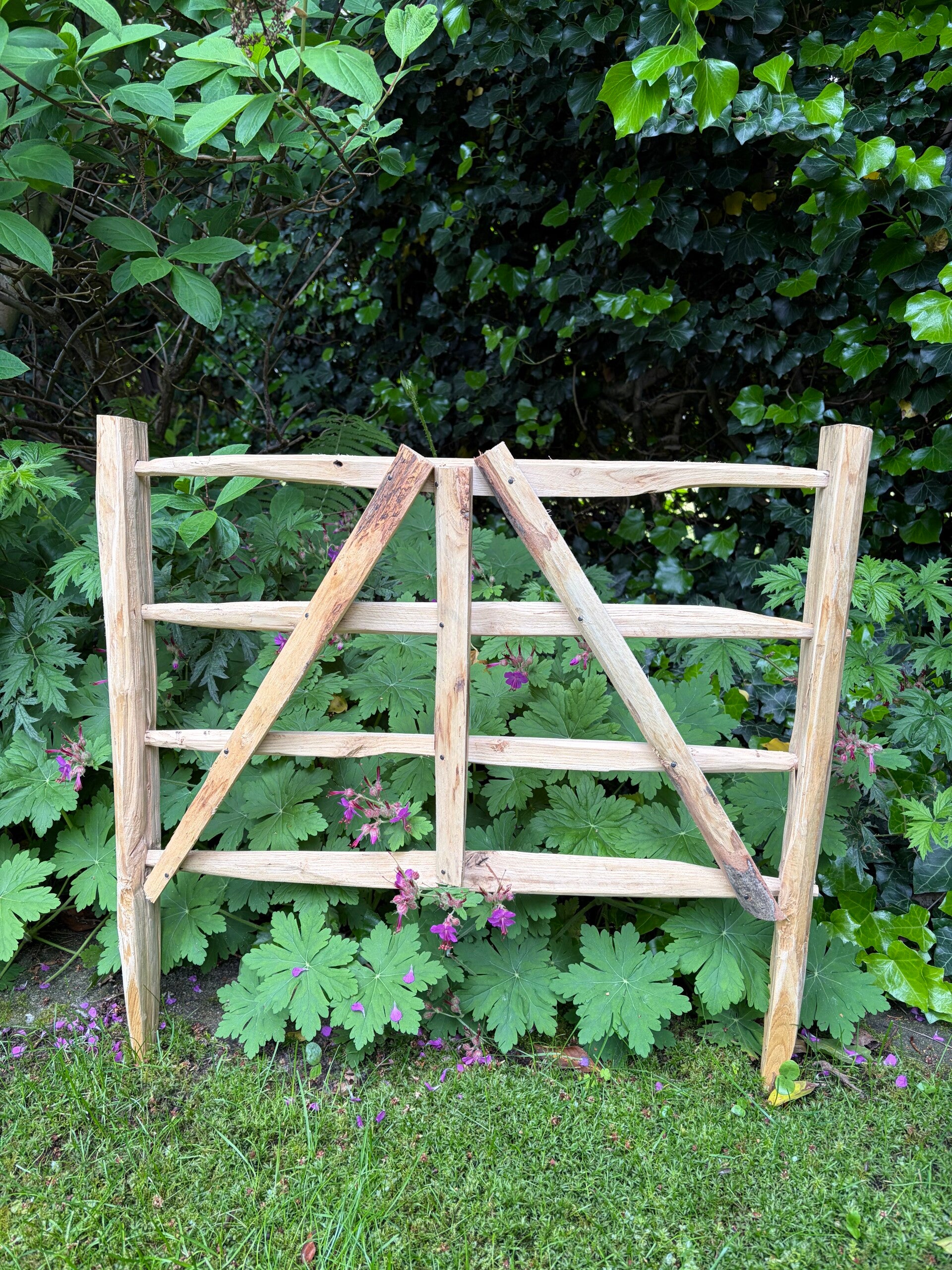 Hurdle 2 foot