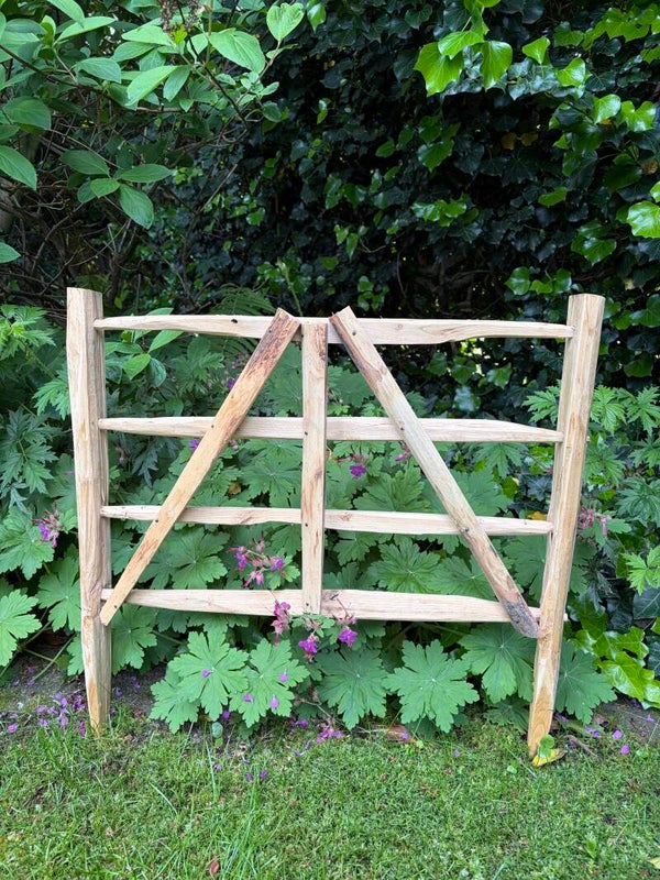 Hurdle 2 foot