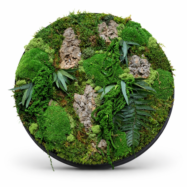 Mosschilderij | Jungle (diameter 50cm)
