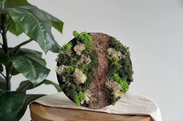 DIY Mosschilderij maken met Rendiermos