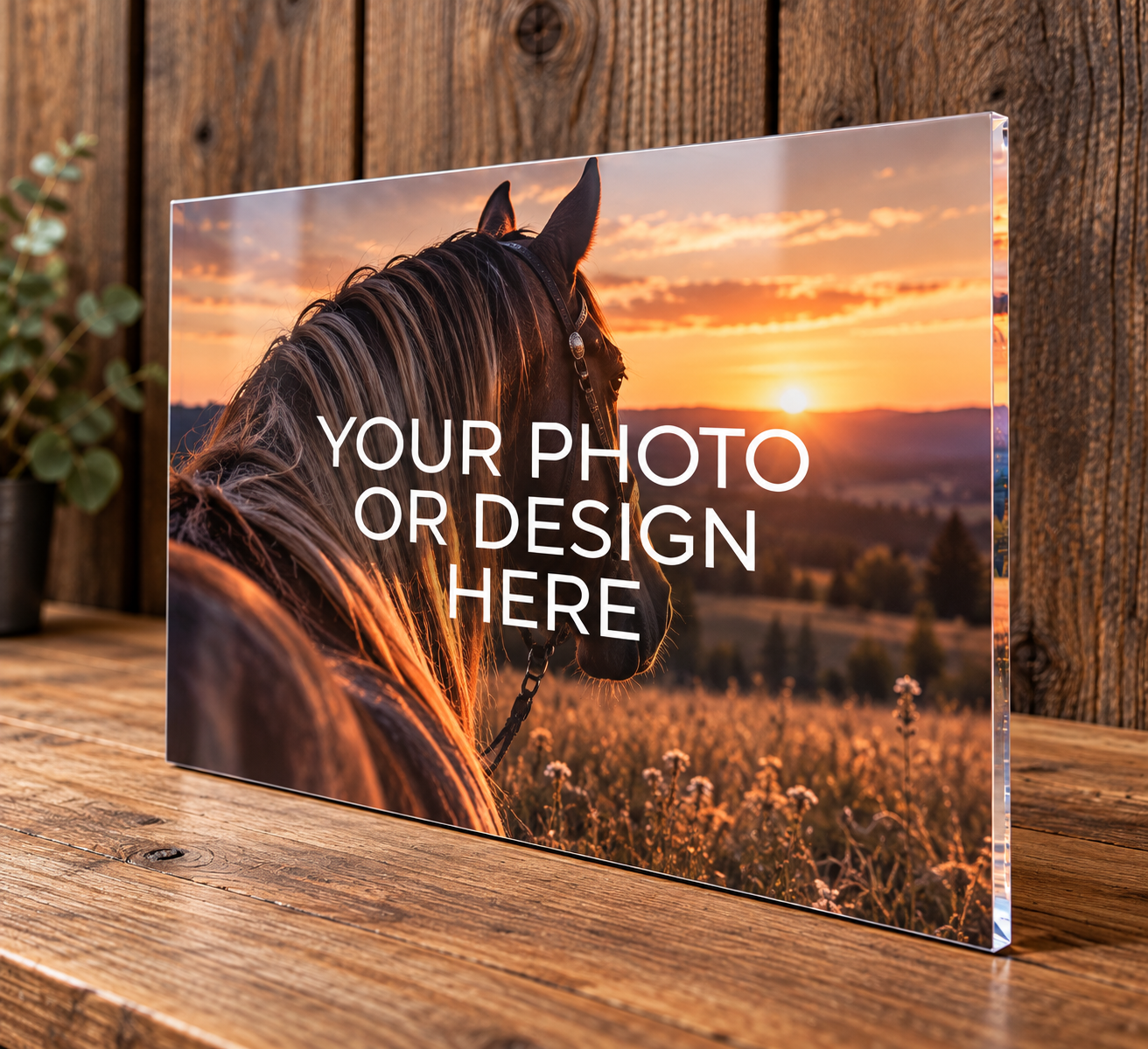 Plexiglas met jouw ontwerp of foto