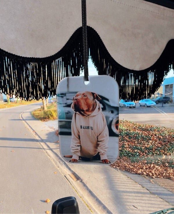Plexiglass hanger with your design or photo