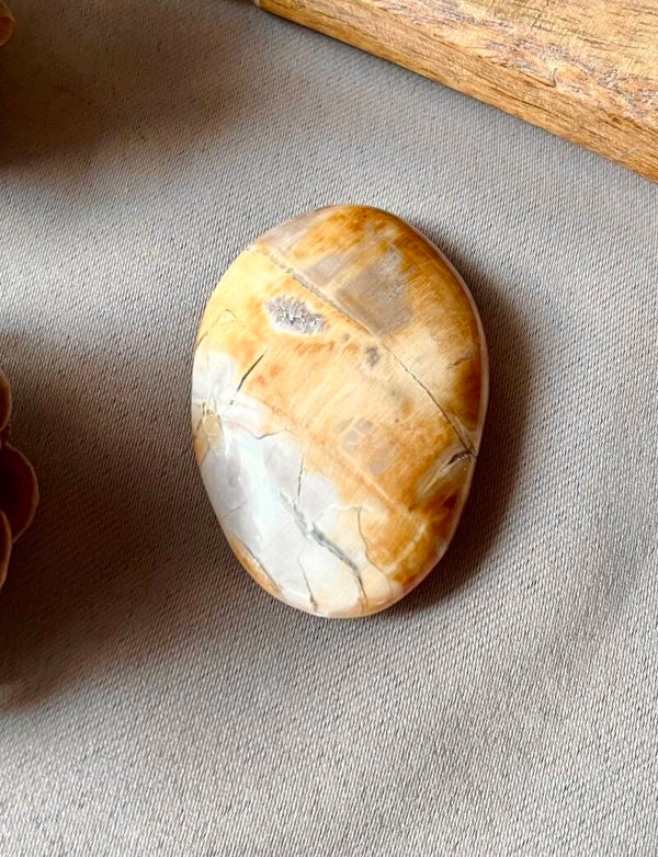 Galet en bois fossilisé