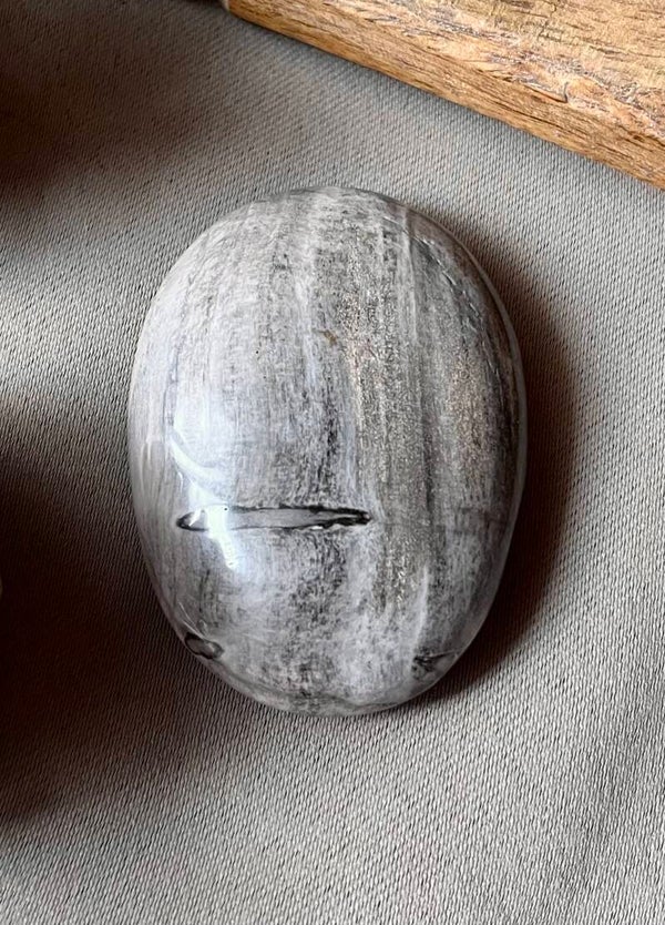 Galet bois fossilisé