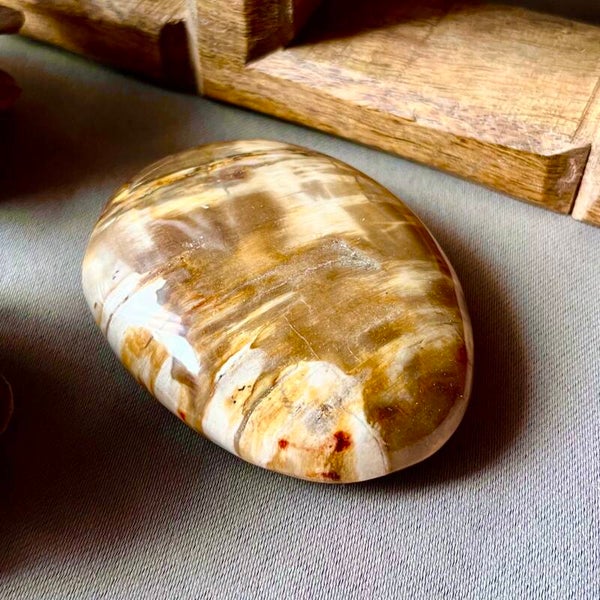 Galet bois fossilisé