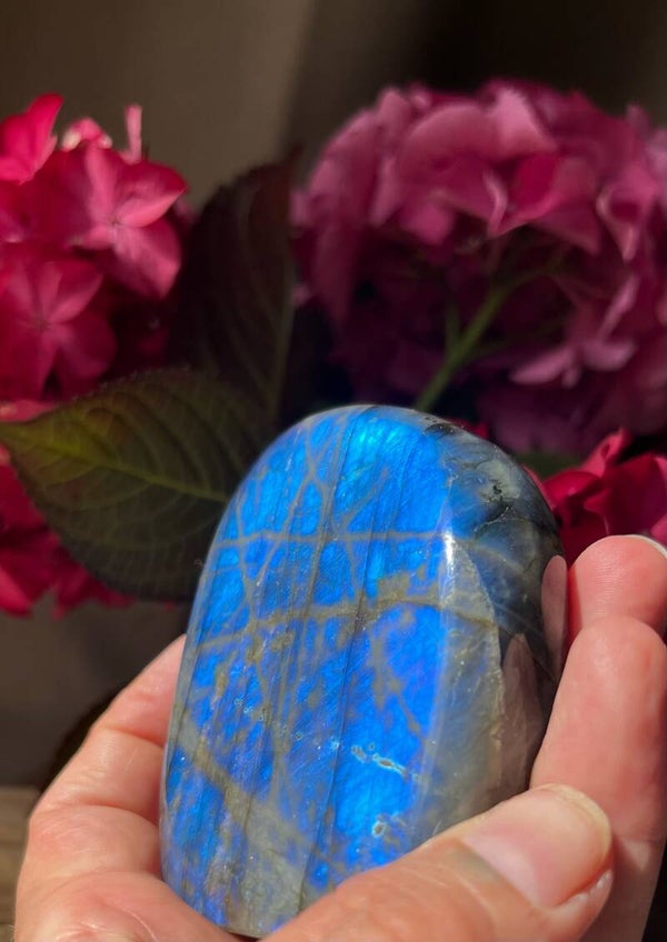 Forme libre labradorite 2