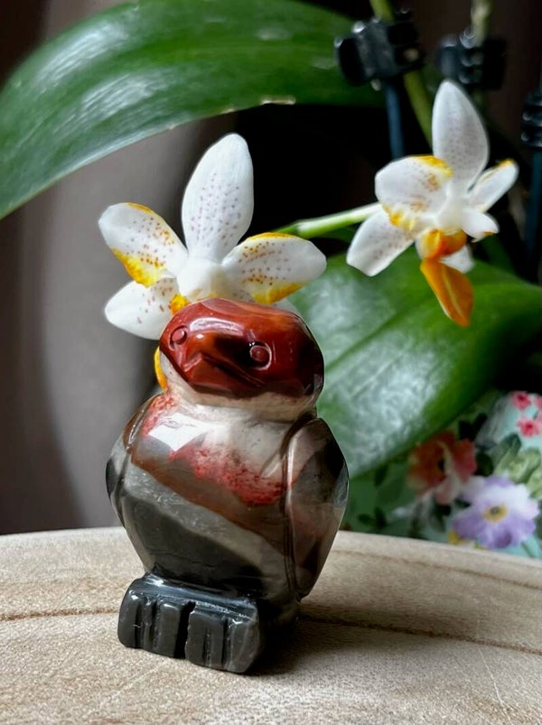 Oiseaux en jaspe polychrome