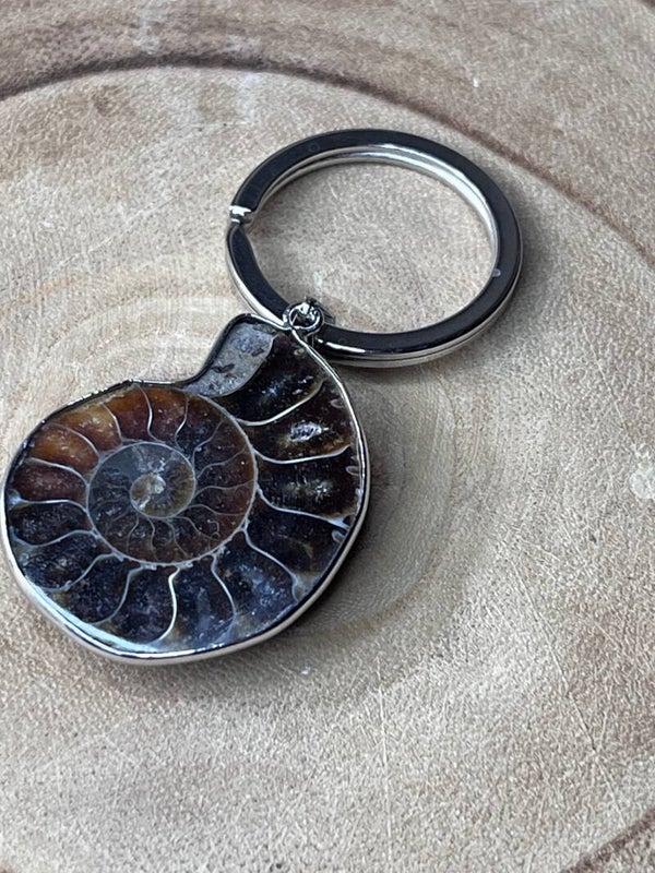 Porte-clé  Ammonite