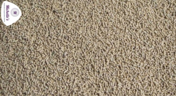 Indische loopeenden opfokkorrel nr.1