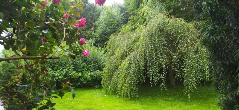 https://entschleunigen-im-garten