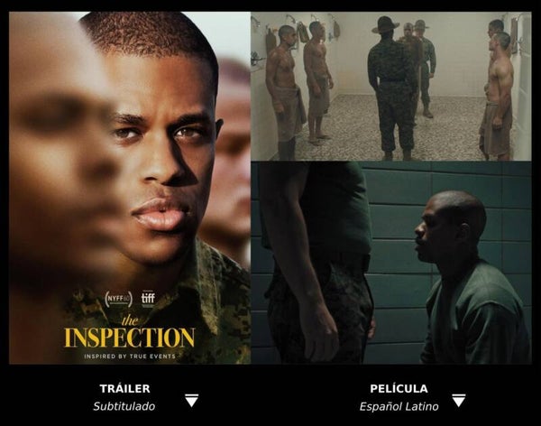 The Inspection