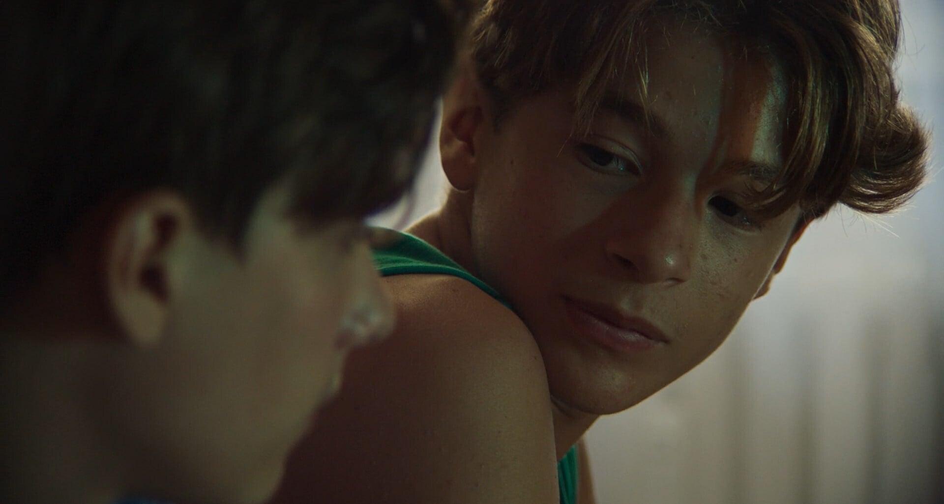 The Dependent Variables (Le Variabili Dipendenti)