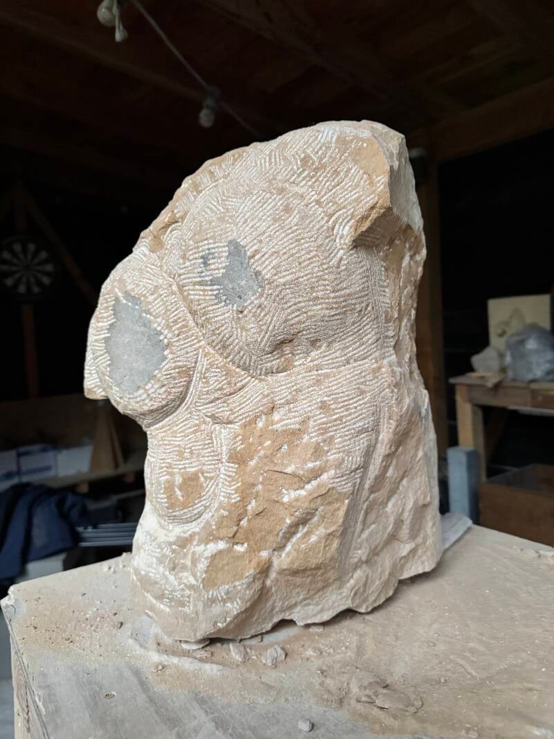 torso (in proces)