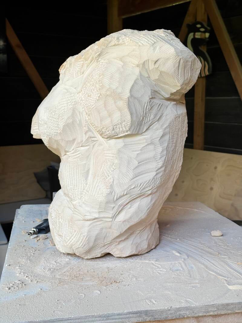 Torso (in proces)
