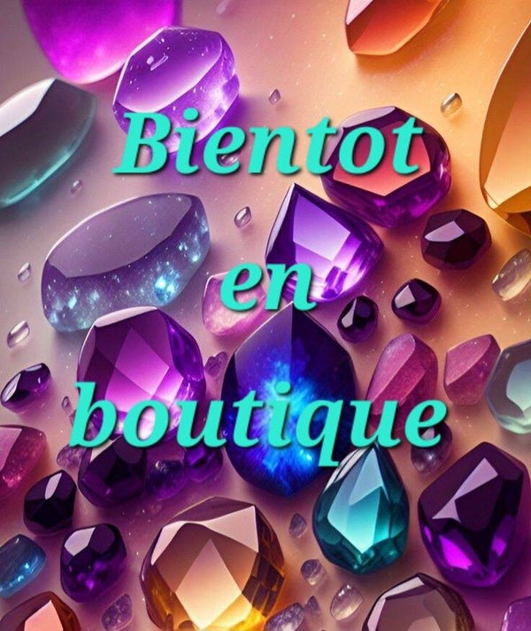 Les pailettes de NONO