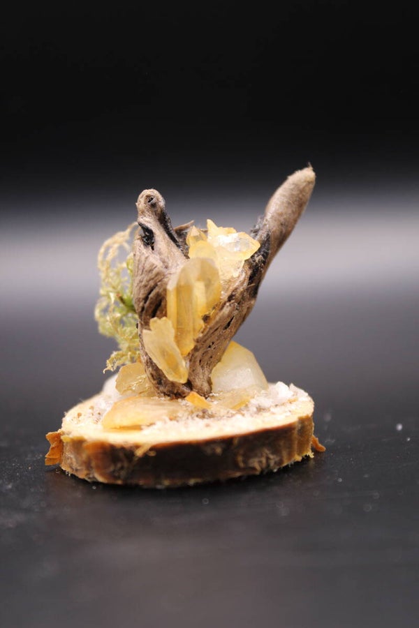miniatur