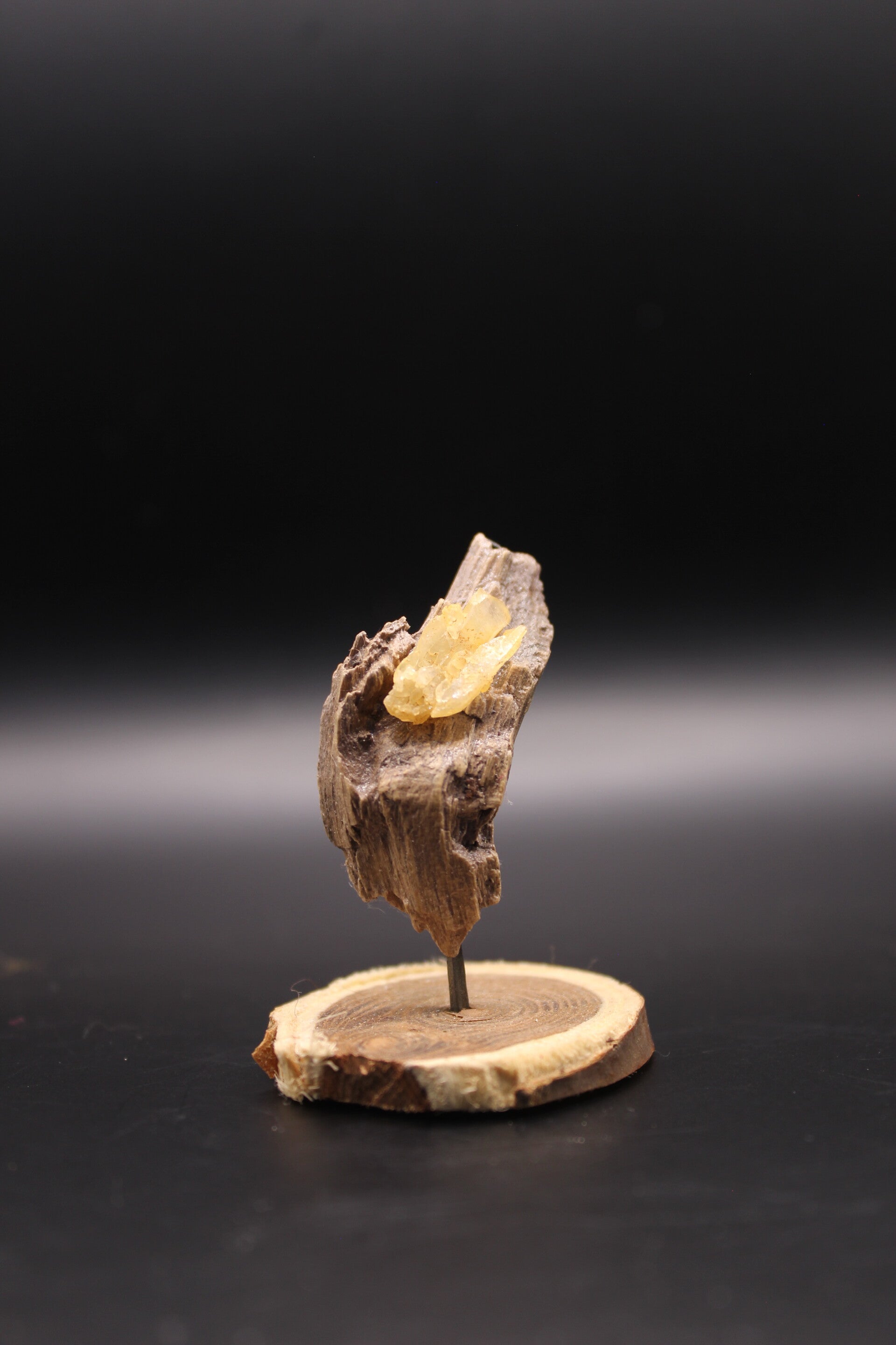 miniatur
