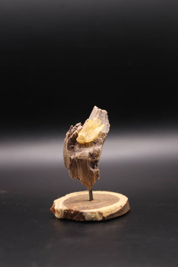 miniatur