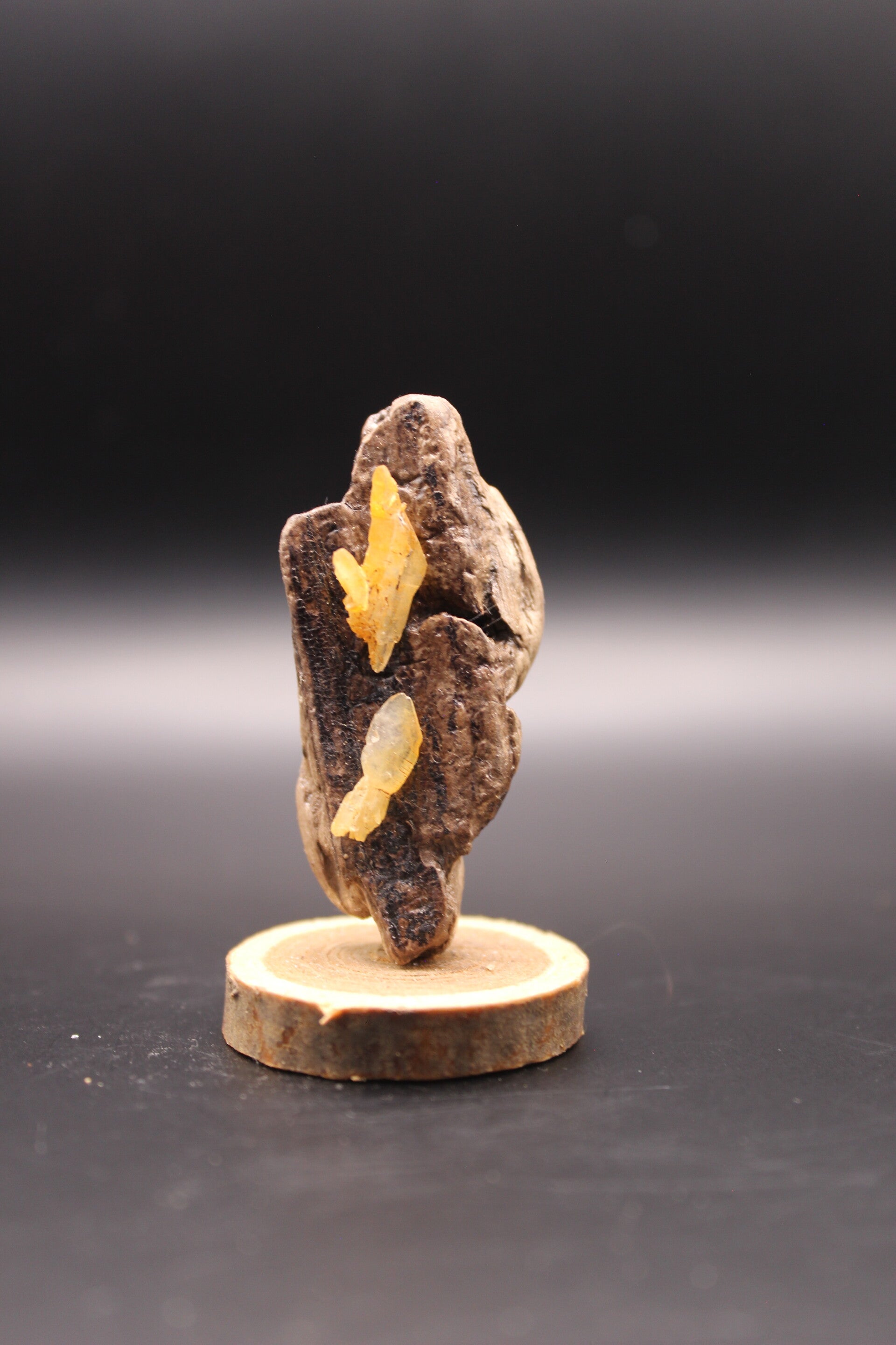 miniatur
