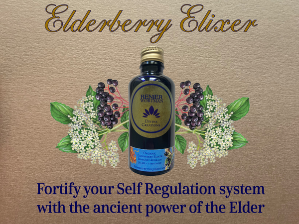 Vlierbessen Elixer