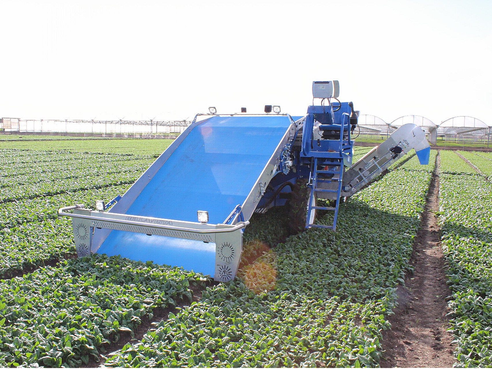 Automatic spinach harvester, Spinach harvesting equipment, Spinach crop harvester, Commercial spinach harvester, Tractor-mounted spinach harvester