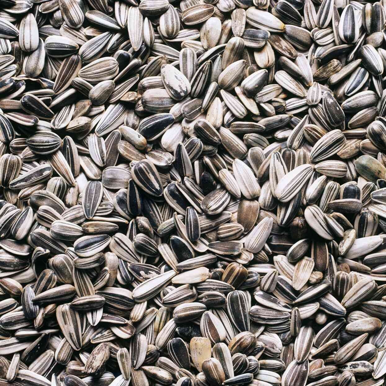 Zhen Lin Sunflower Seeds (Zonnebloempitten), 170g