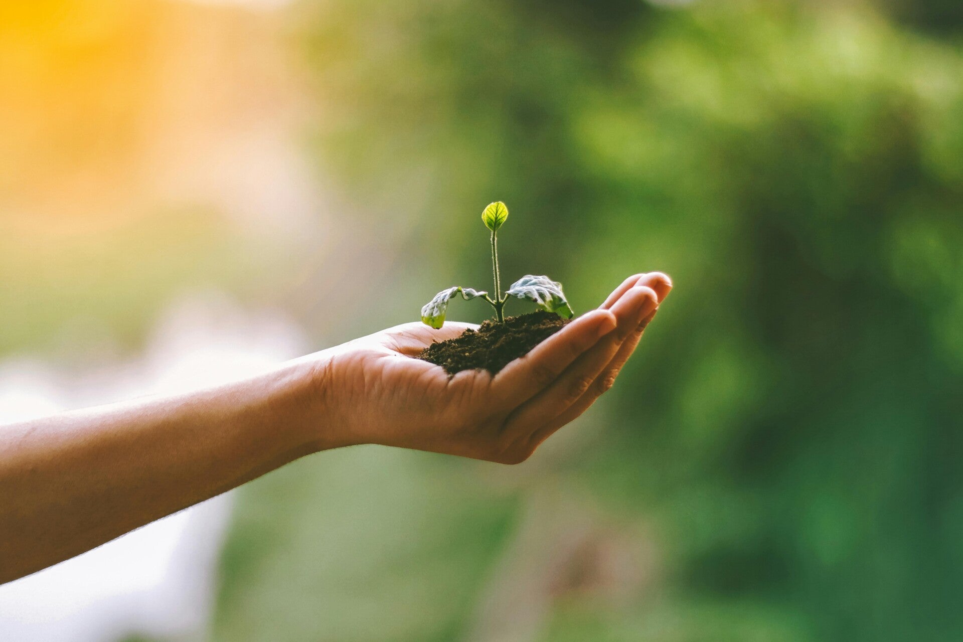 crescita personale strumenti, mi sento bloccata, cambiamento di vita. Cos'è il counseling: significato, benefici e a chi si rivolge | Come gestire l'ansia: approcci concreti che funzionano | Come aumentare la fiducia in se stessi: percorsi che funzionano
