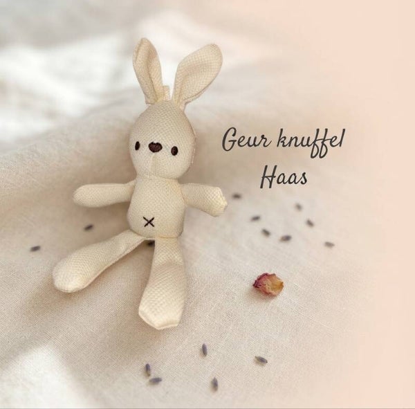 Scented Bear and Bunny