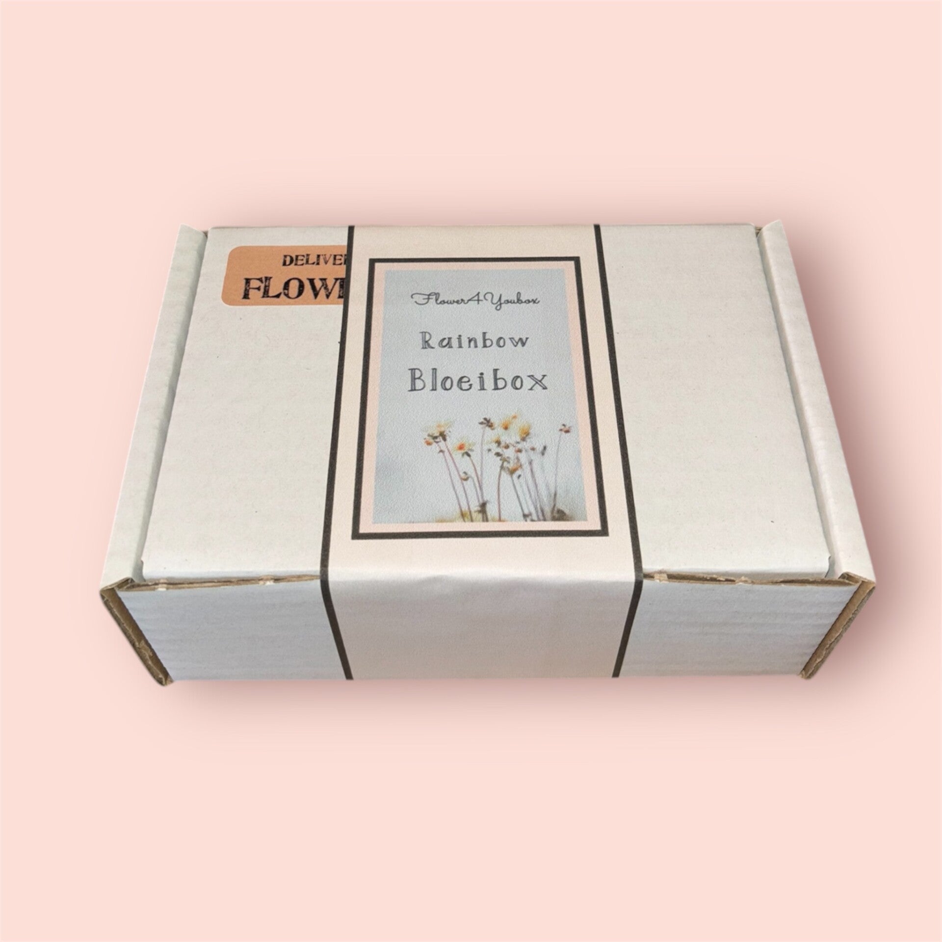 Rainbow bloeibox big