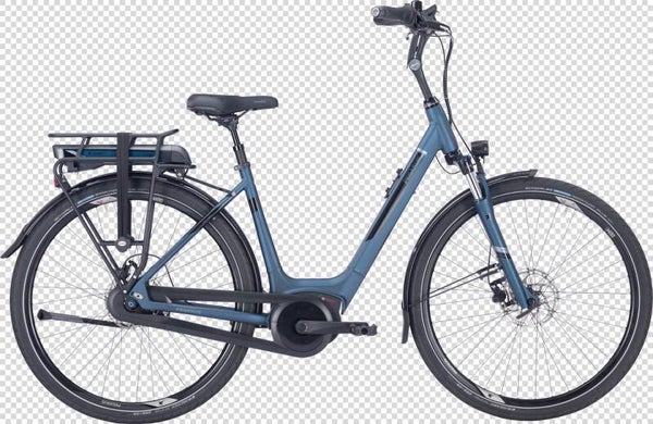PEGASUS RAVENNA E8F  disc Dames 60 cm