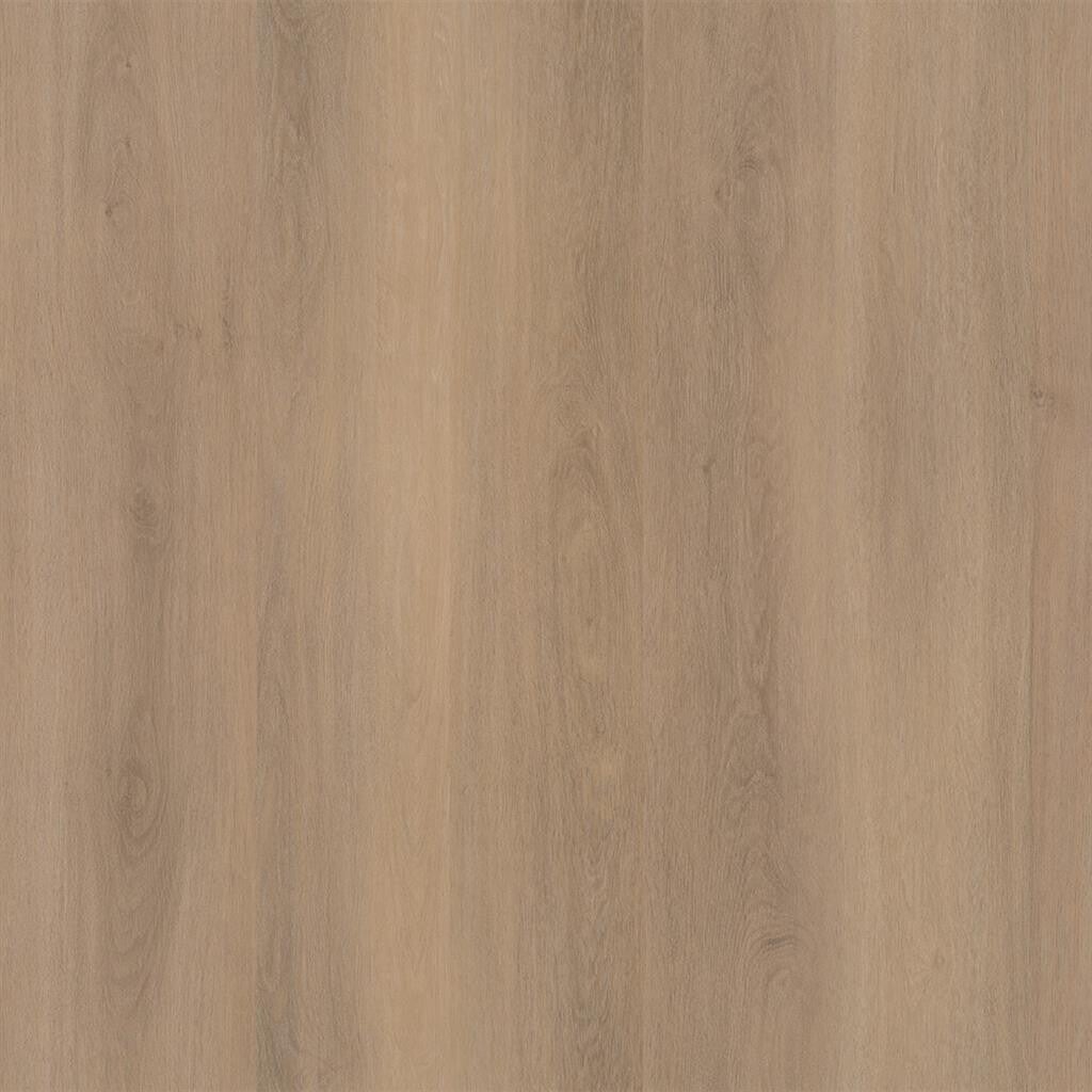 Patterson helder eiken