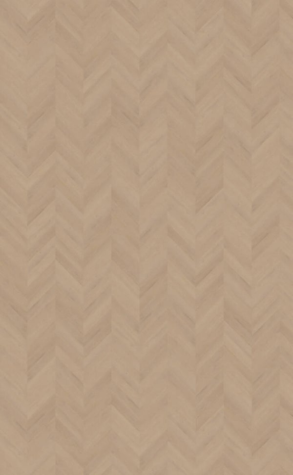 Palazzo Hongaarse punt | Weense punt 77