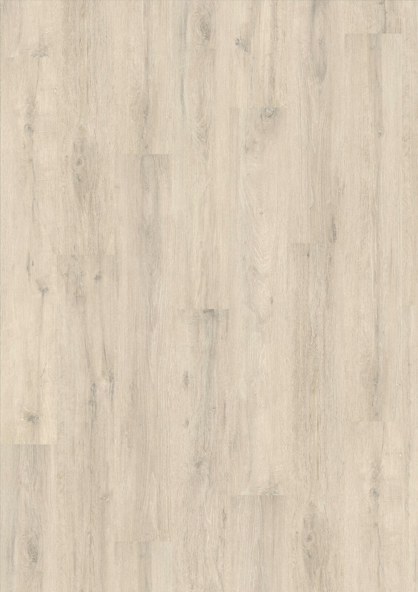 MADISON 331 NP 2803 Oak polarwhite