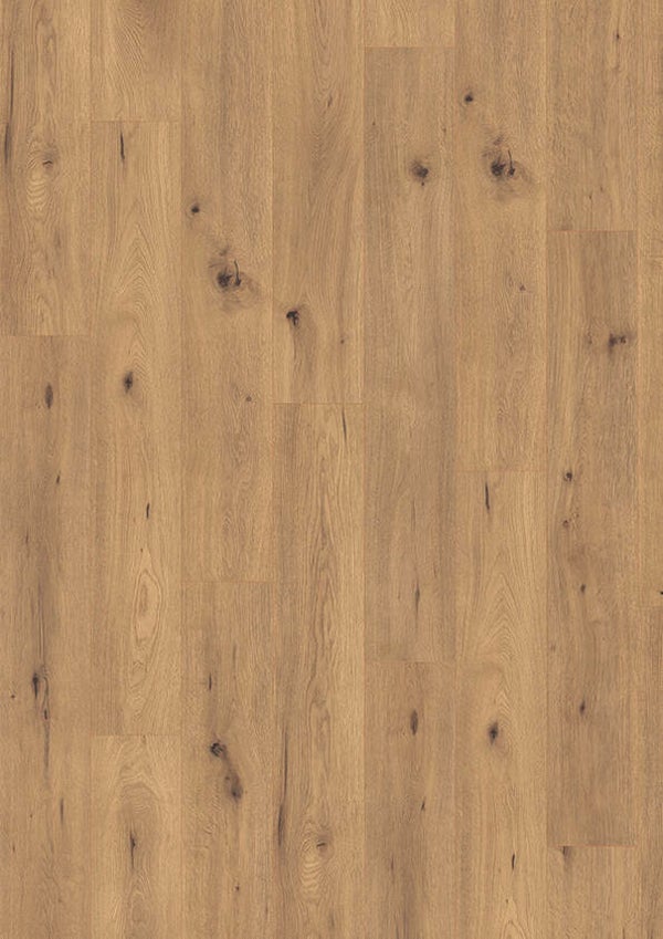 MADISON CITY 431 NP 4844 Oak Spirit