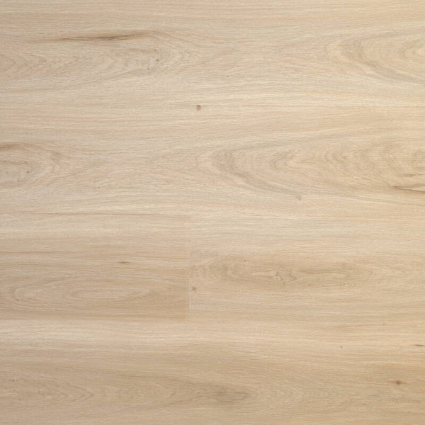 Premier Morning Light