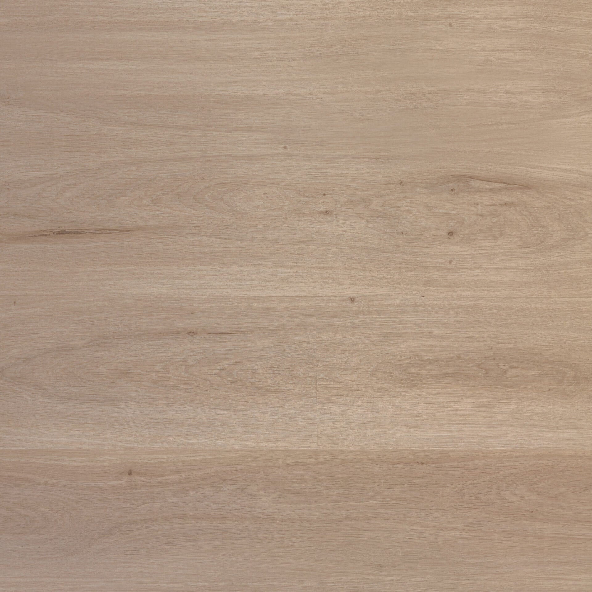 Premier Dusted Warmth