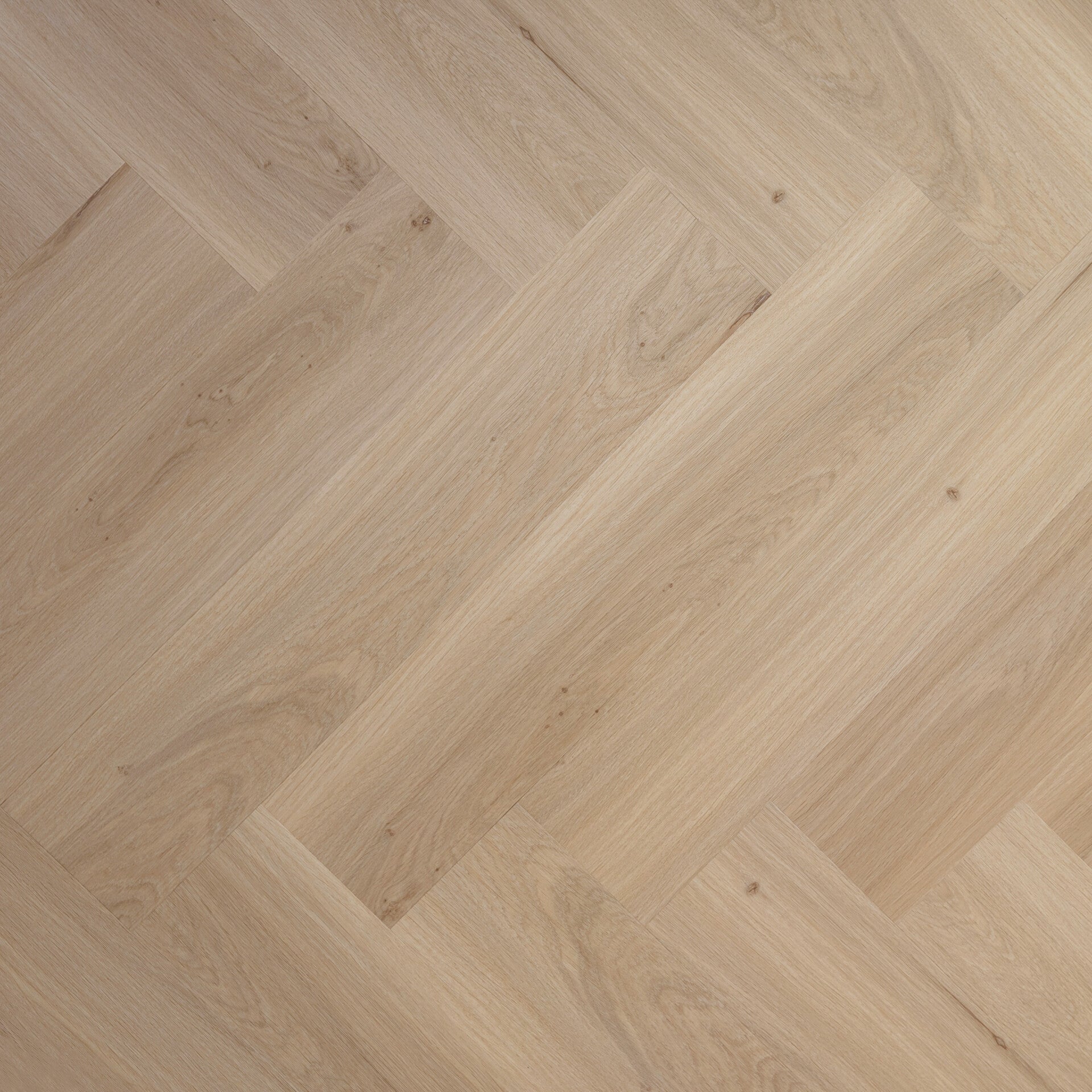 Premier Dusted Warmth