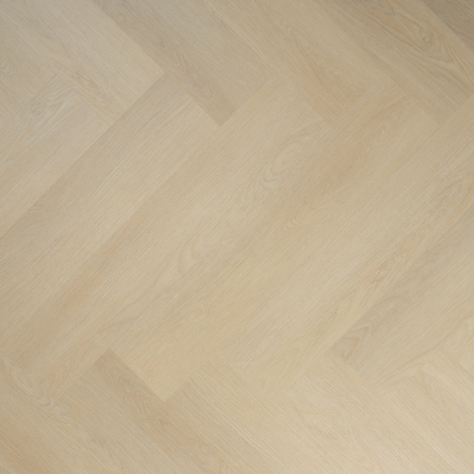 Select Morning Light