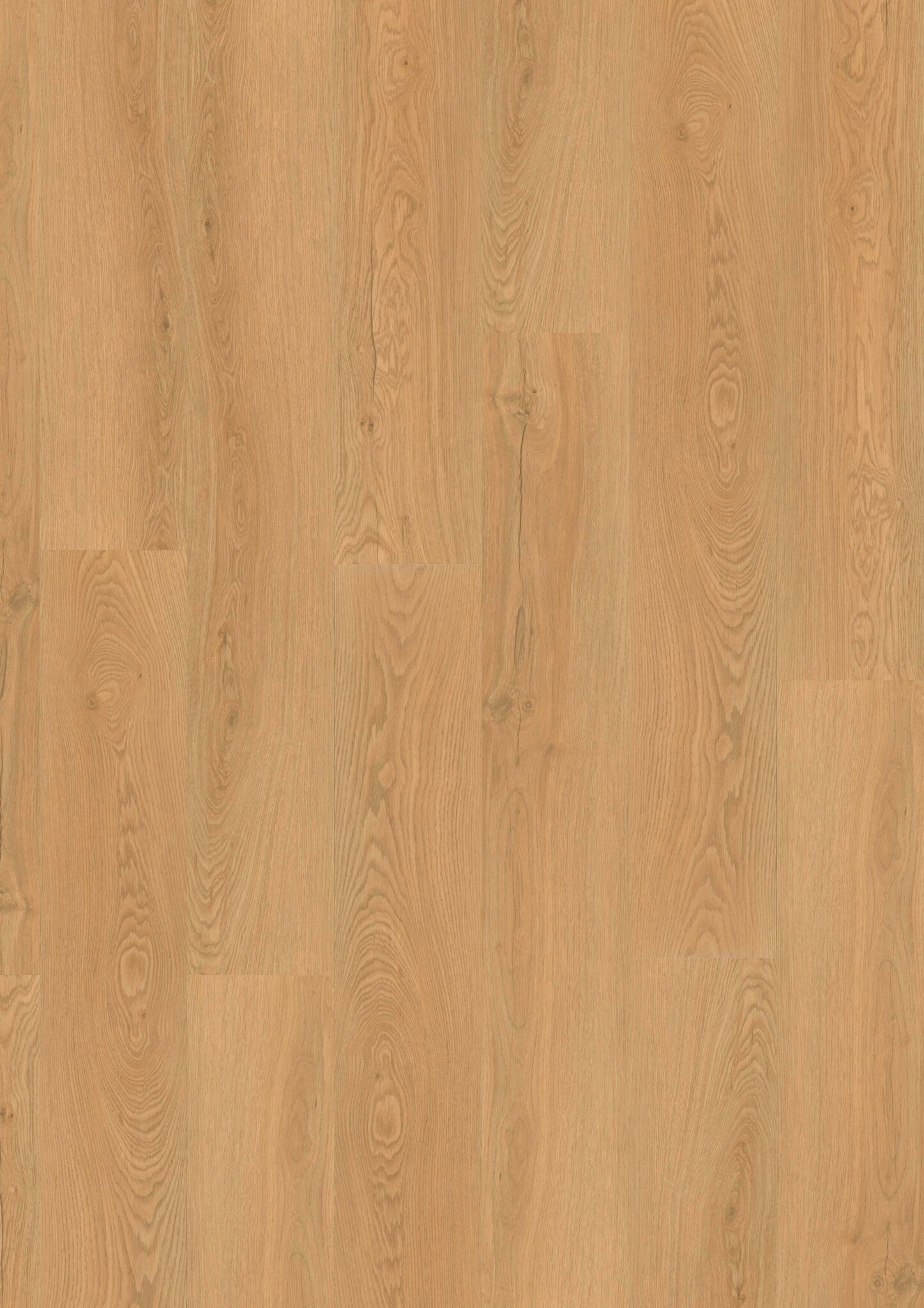 882 Ambered Elegance