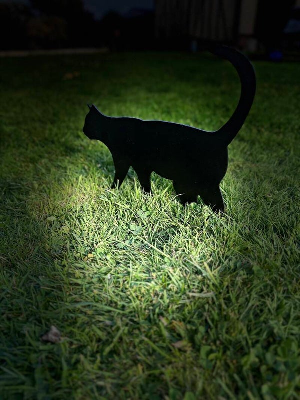 Chat décoration