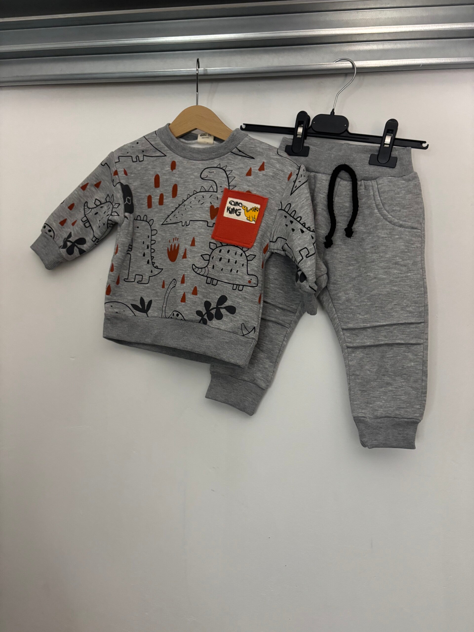 Grijze dino set