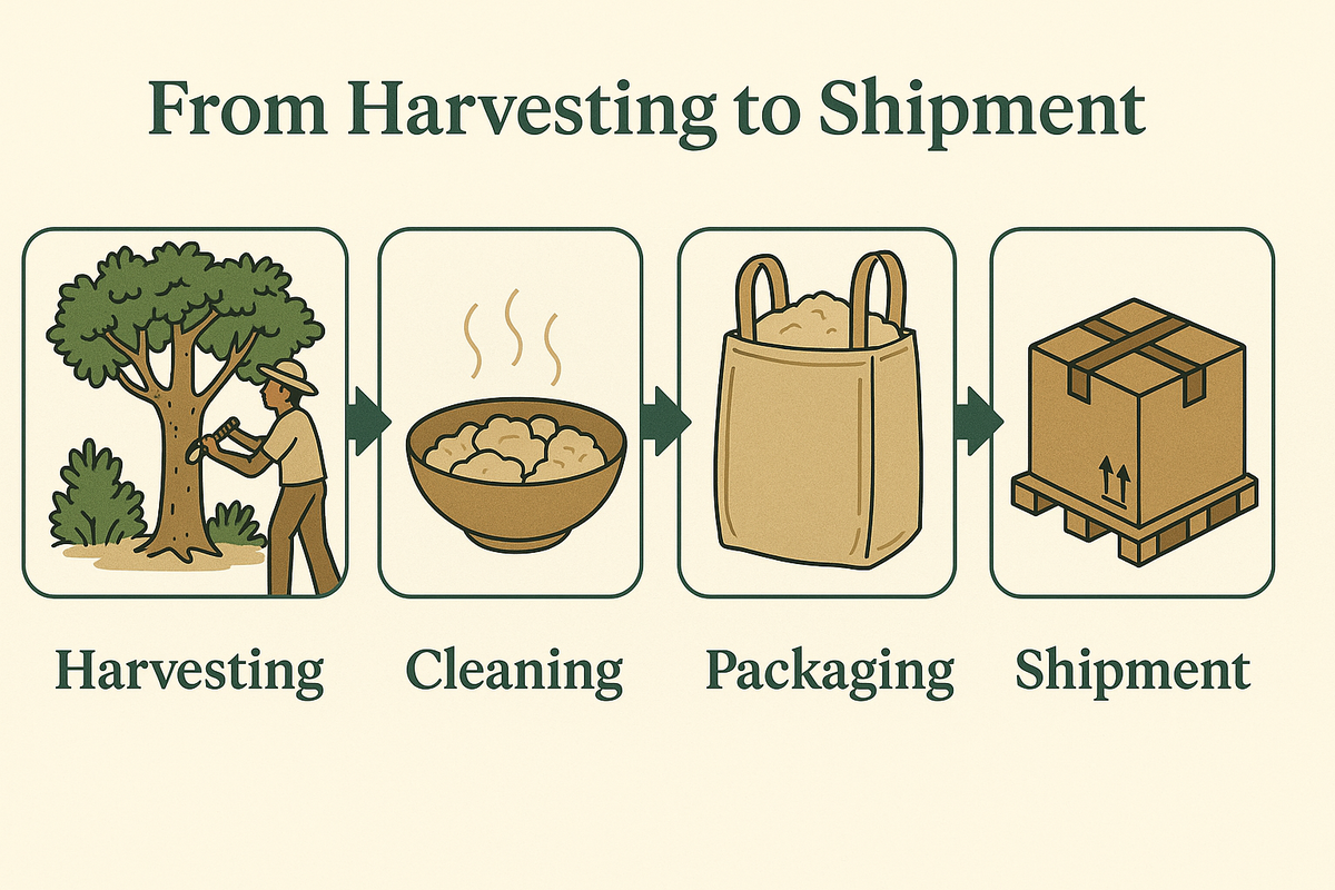 our process | Seber General Trading L.L.C.