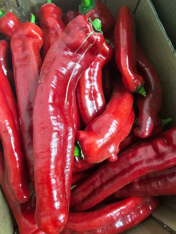 Long Peppers