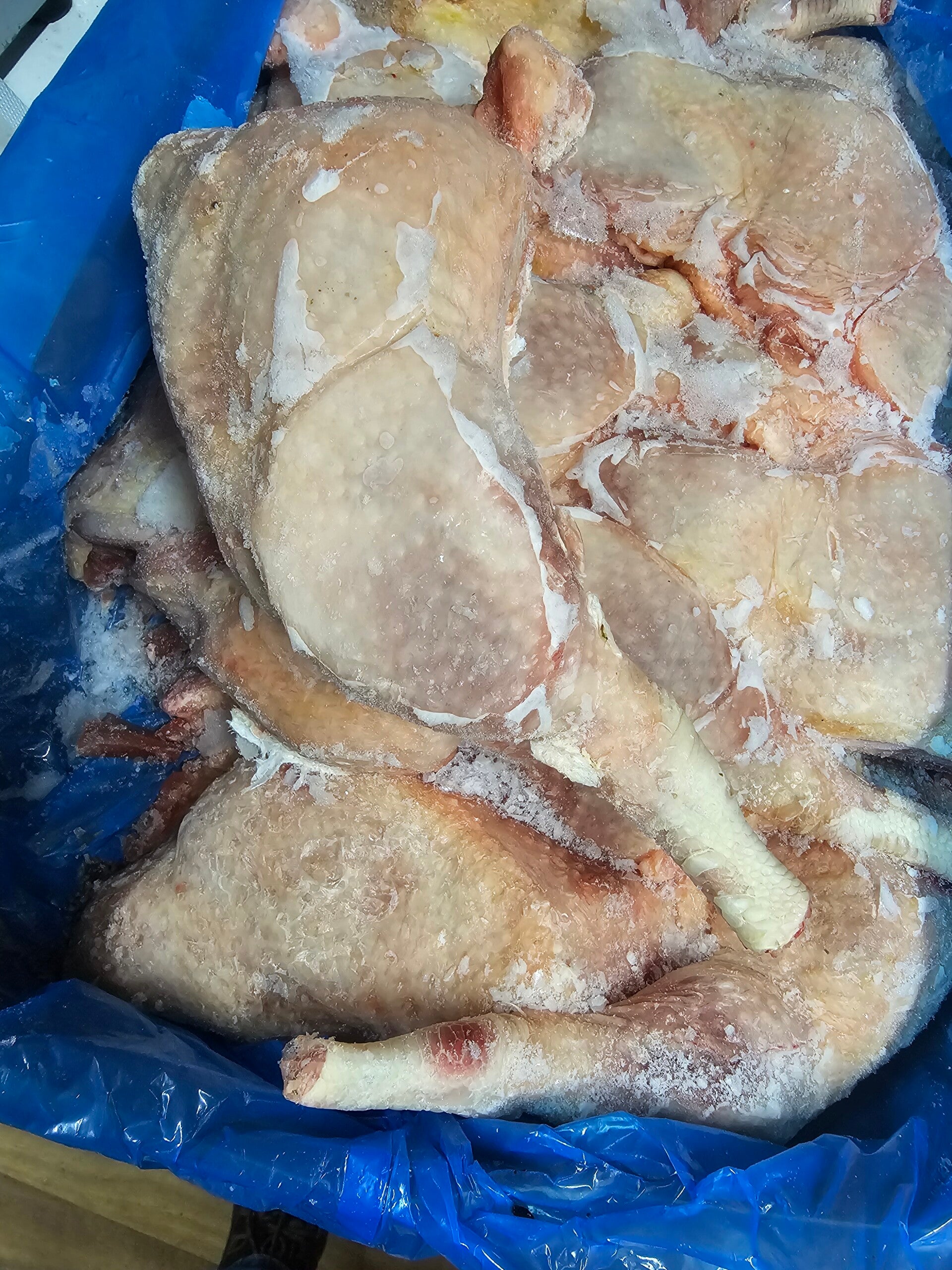 Jumbo Jolly Chicken 10KG