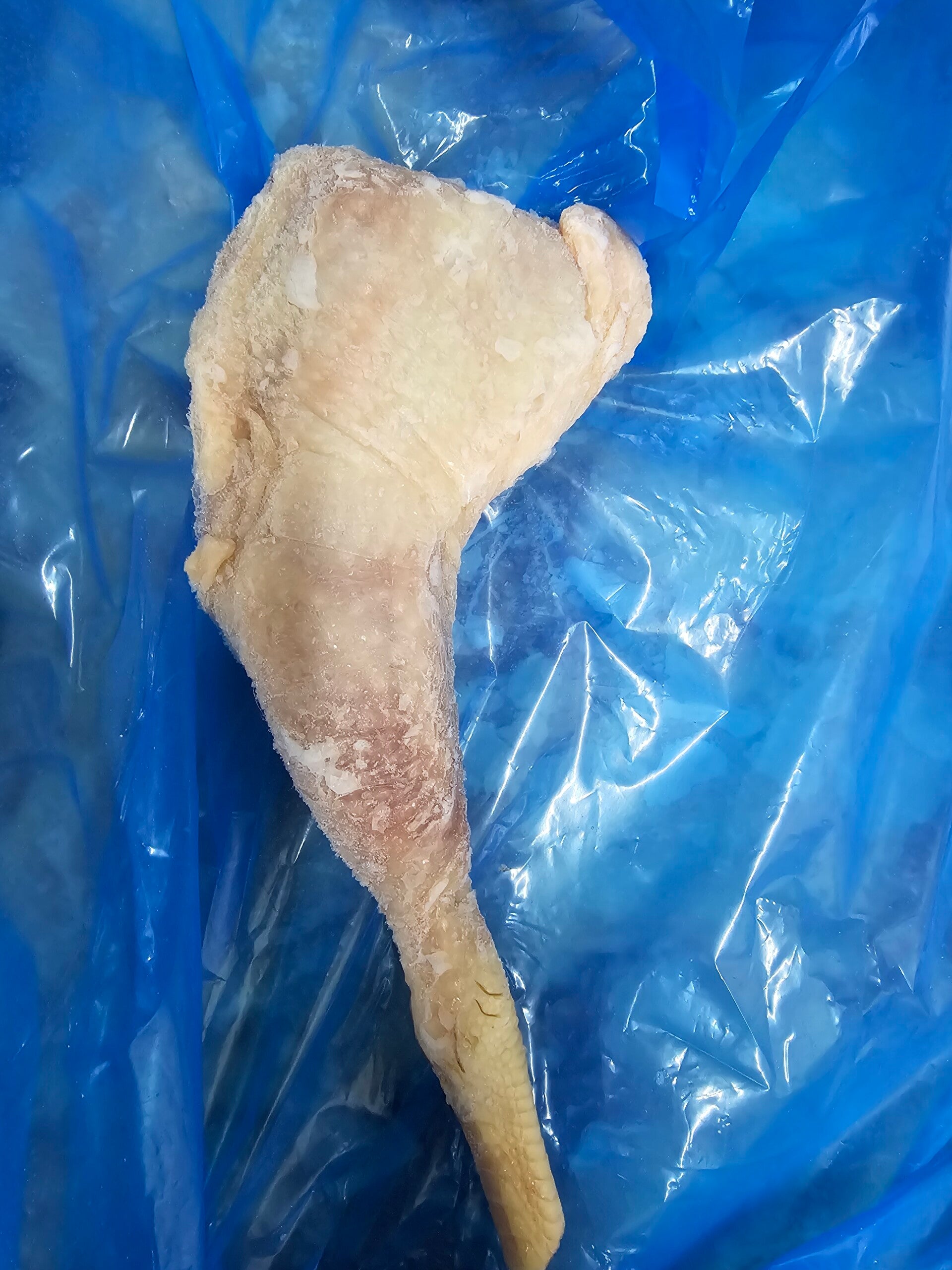 Hard Jolly Chicken