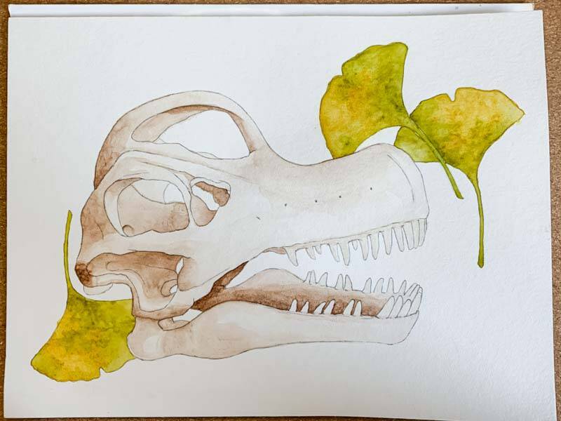 Dinoschädel Brachiosaurus Ginkgo 02