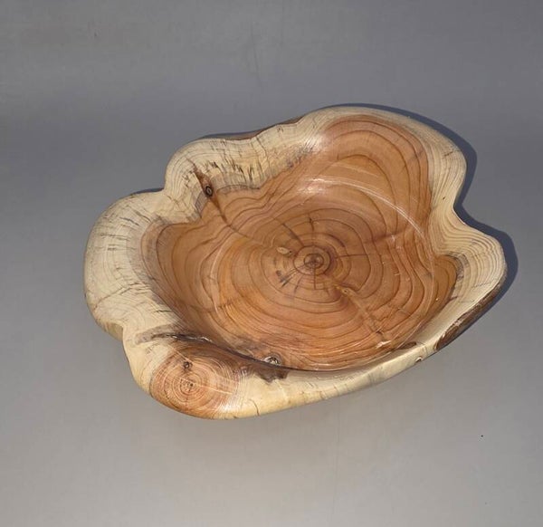 Bakje gedraaid uit een taxusstam