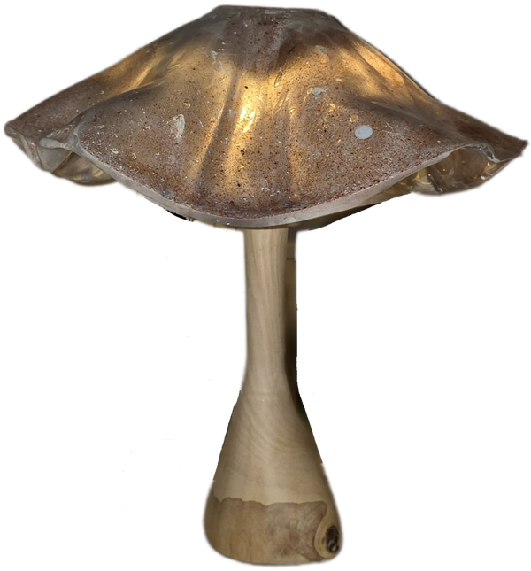 Schemerlamp op asymmetrische houten voet