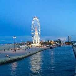 vista-dal-molo-nord-darsena-standard.jpg